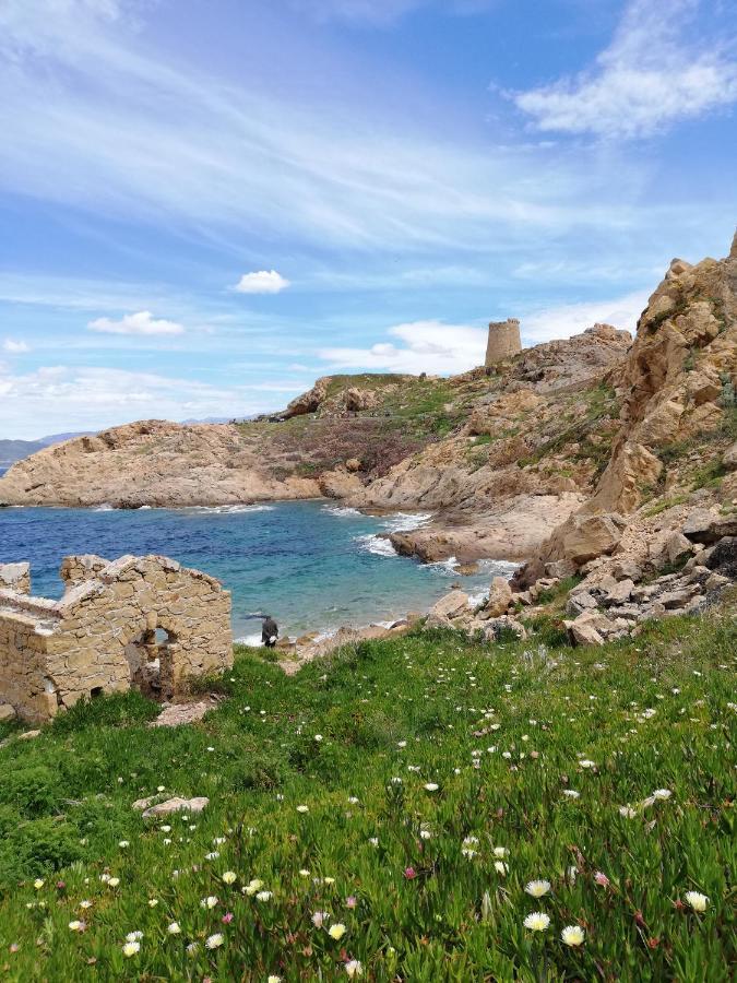 Joli En Corse Avec Piscine Belgodere (Corsica)